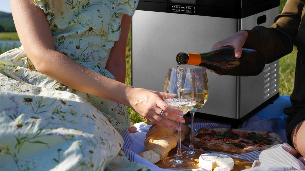 Zwei Personen genießen ein Picknick auf einer Decke. Eine Person schenkt Wein in ein Glas ein. Auf einem Holztablett liegen Brot, Käse und Pizza. Im Hintergrund ist ein Kühlschrank oder eine Kühlbox zu sehen.
