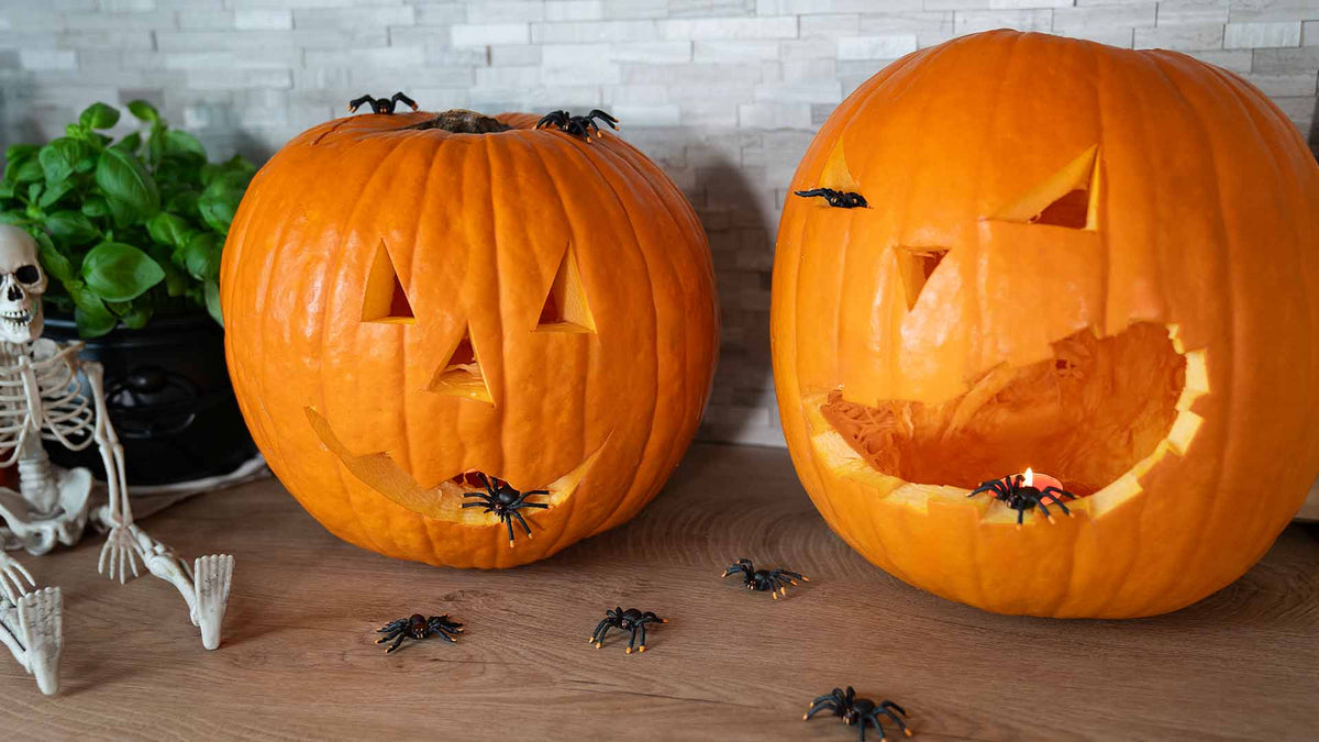 Zwei geschnitzte Kürbisse mit lächelnden Gesichtern liegen auf einer Holzfläche, die mit künstlichen schwarzen Spinnen dekoriert ist. Im Hintergrund sind eine kleine Skelettfigur und eine grüne Topfpflanze zu sehen.